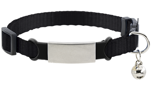 Engraved Cat Collar