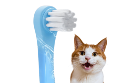 Gentle Clean Dental Toothbrush for Cats with Soft Nylon Bristles
