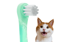 Cat dental toothbrush in green with soft, effective bristles and ergonomic handle for easy cleaning of cat's delicate gums.