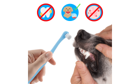 Gentle Clean Dental Toothbrush for Cats with Soft Nylon Bristles