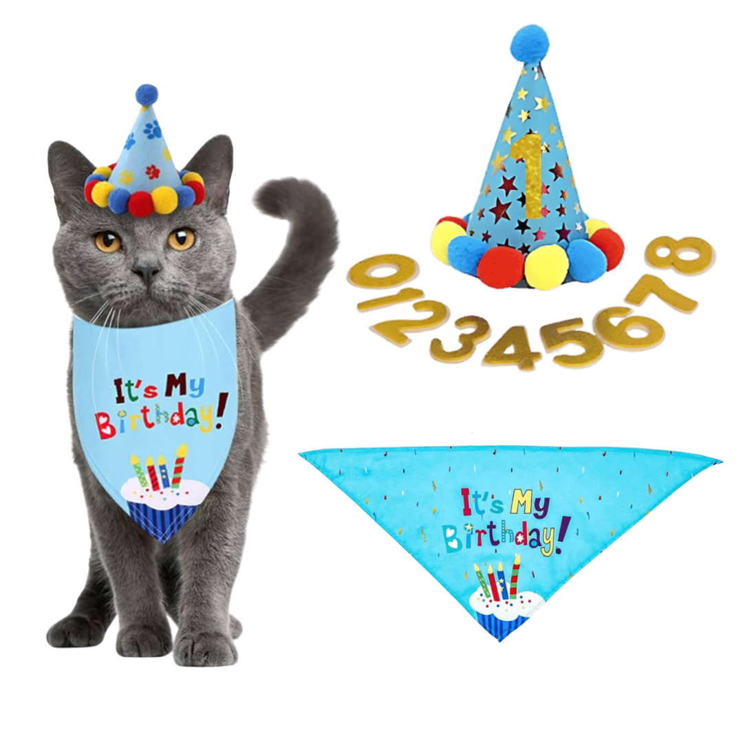 Cat Birthday Bandana Set Cat Birthday Bandana Set